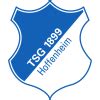 Football, Germany: Hoffenheim live scores, results, fixtures.